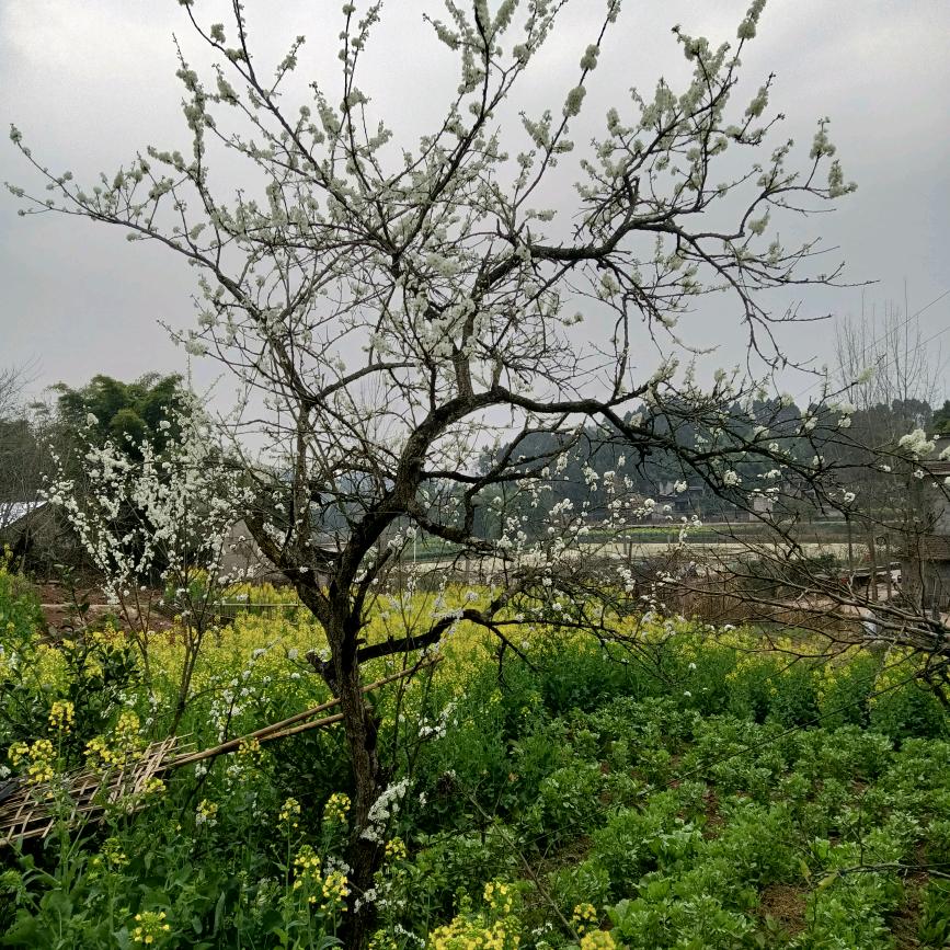 @阳光
