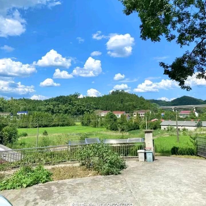 🦋ꦿ໊自由᭄🕊随心᭄ꦿᩚ:💞