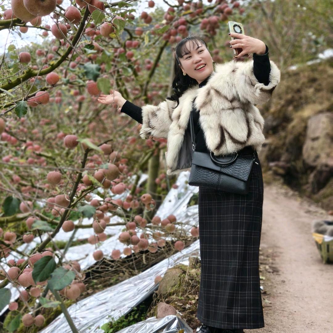雅安乐乐说媒(招合伙人)