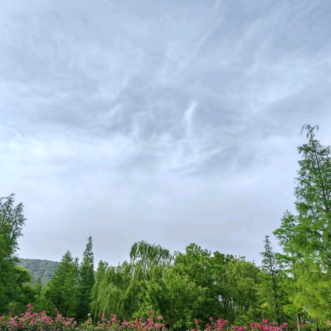 相伴