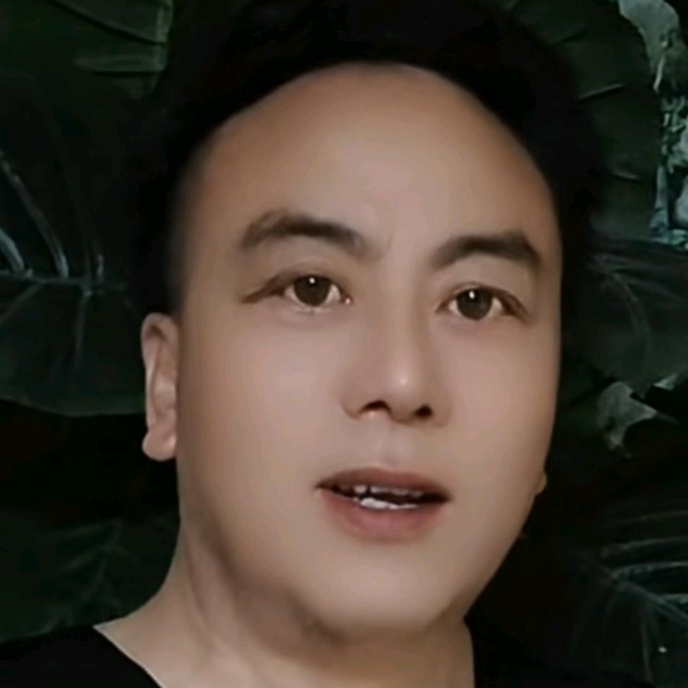 @金阳光456166