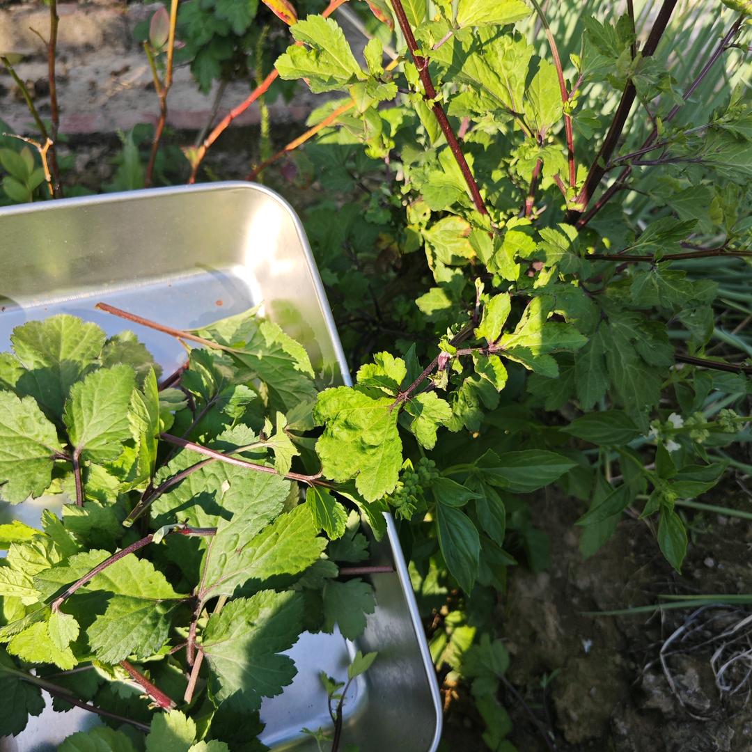 遇见🤳🤳良缘