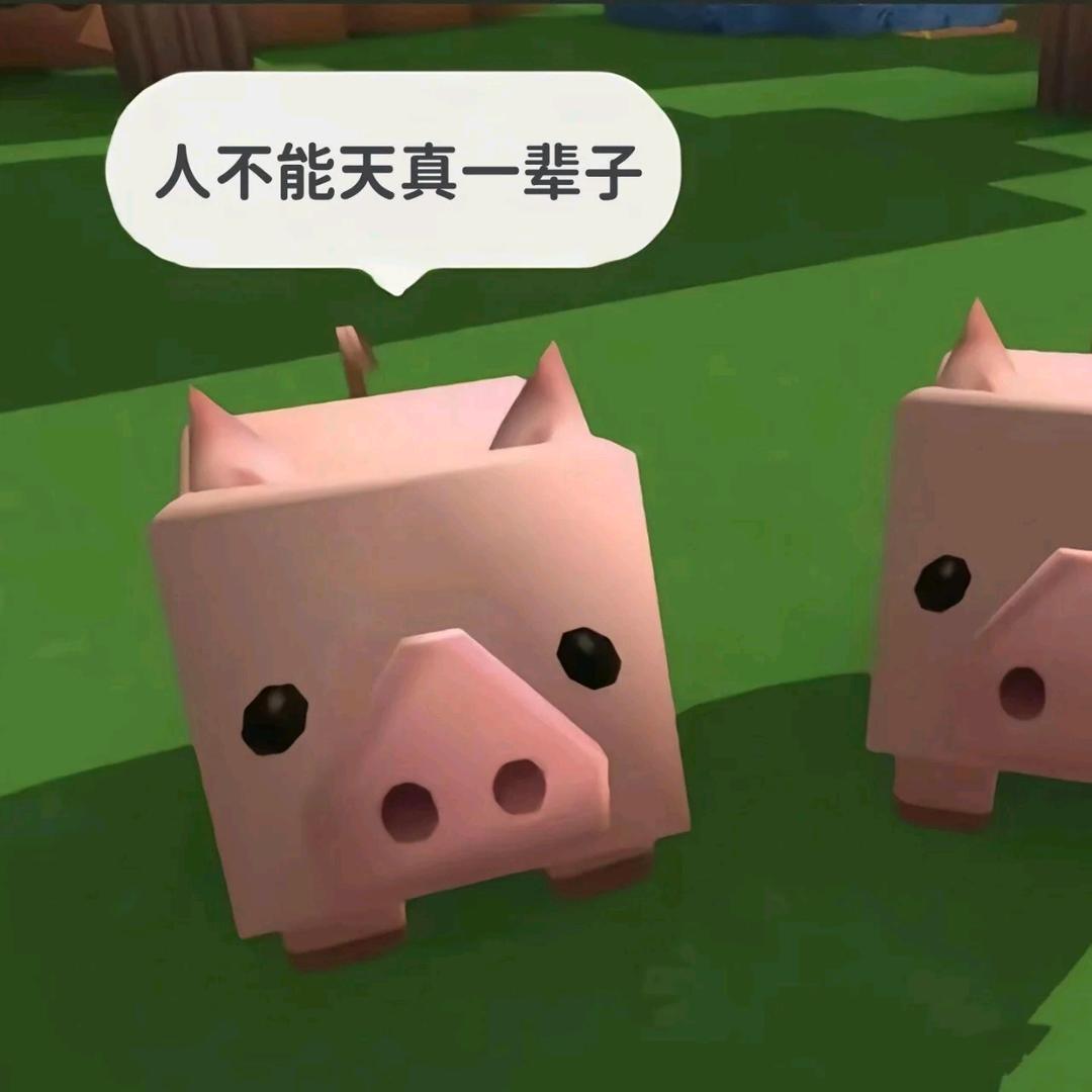 小r.