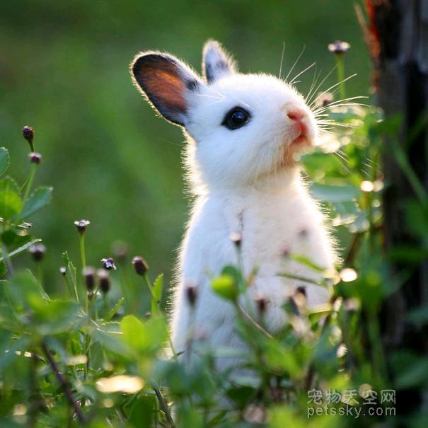 初春暖阳
