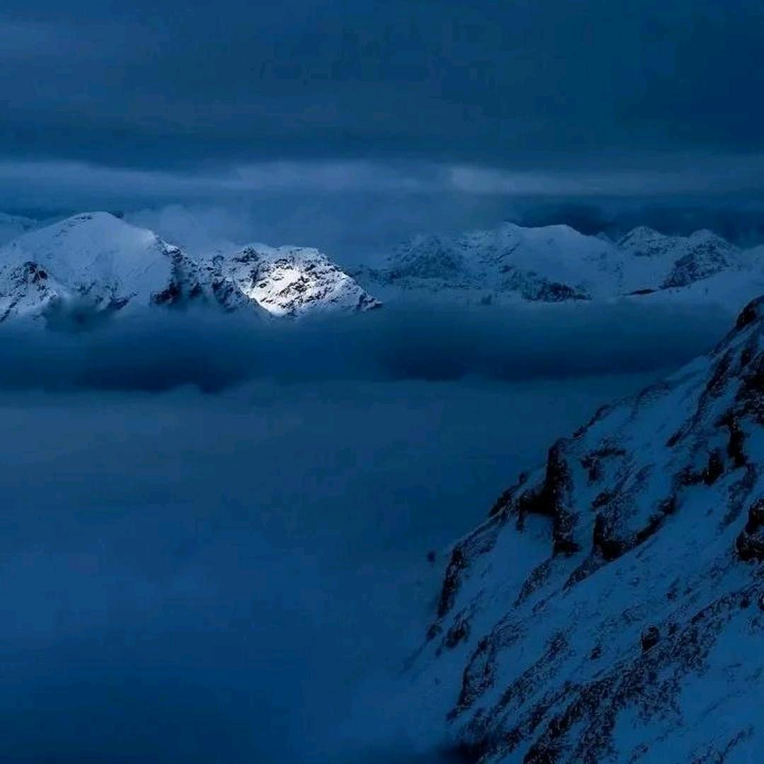 因为小狗在摇尾巴