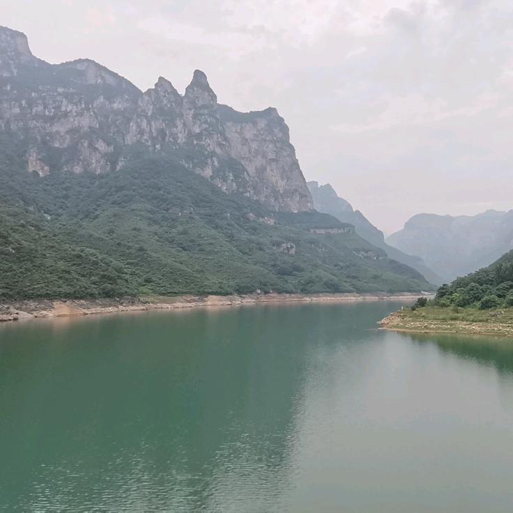 春照普光