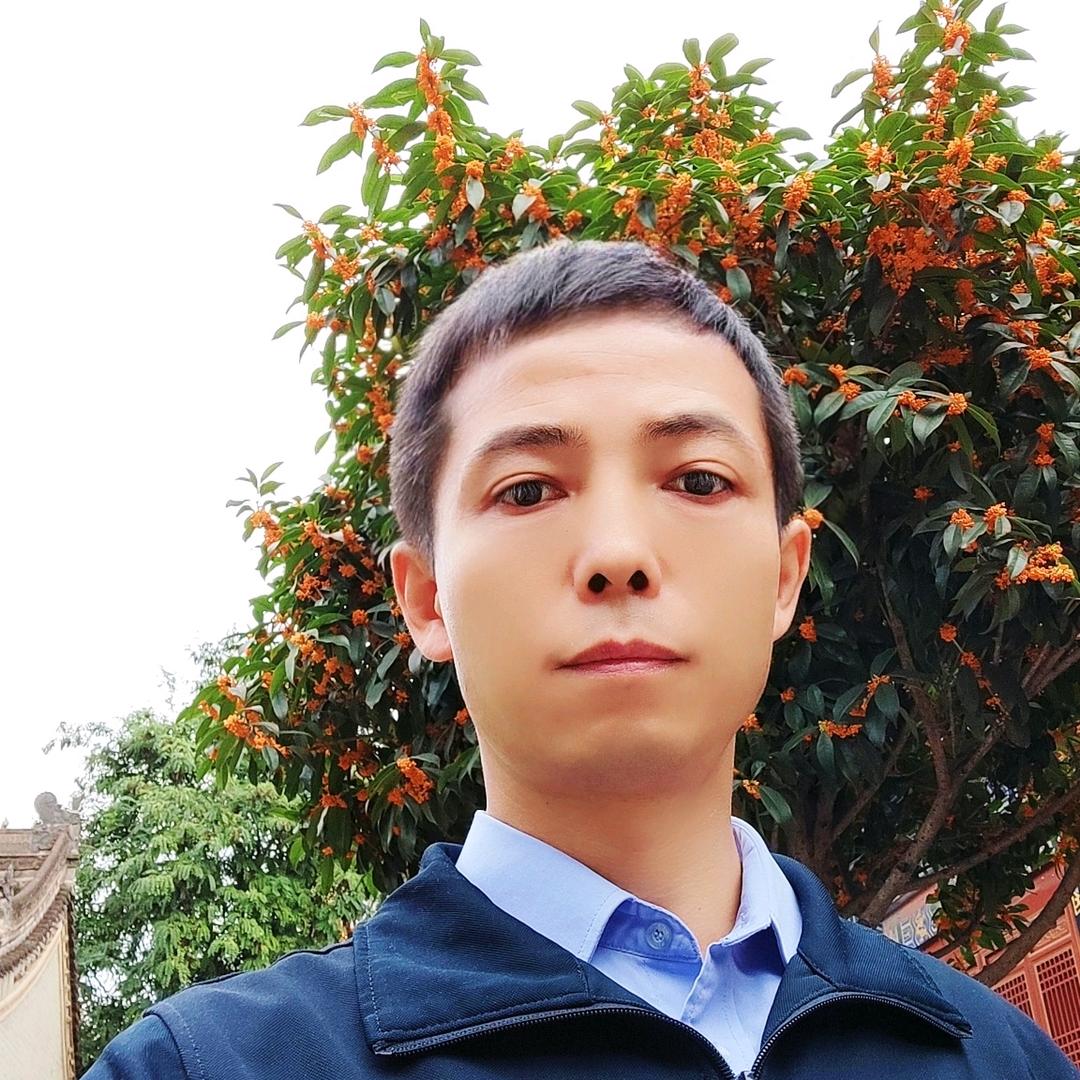 凌云木d