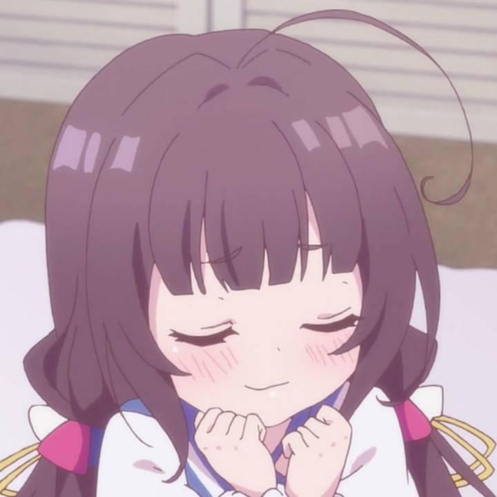 不爱猫的喵