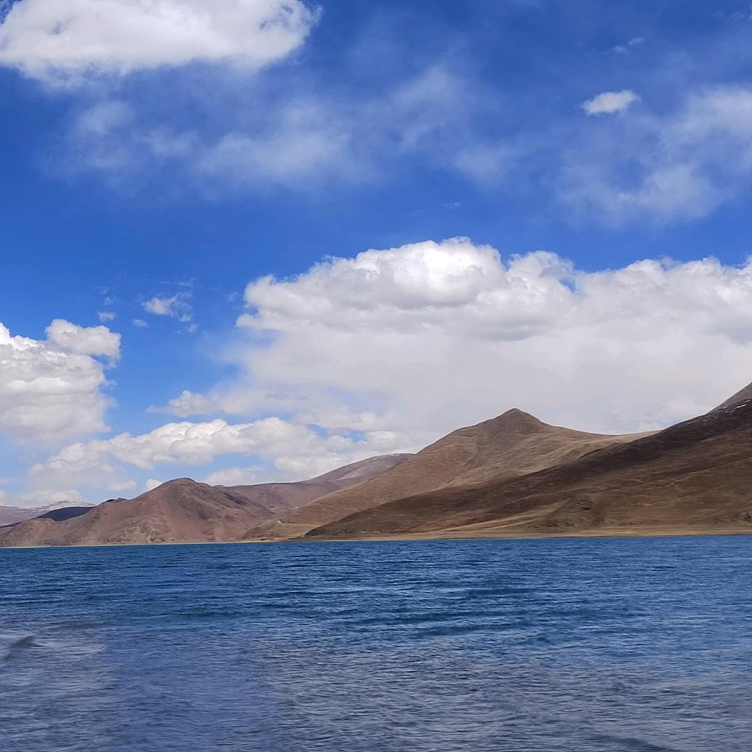 有朋自抖音来7001175963939