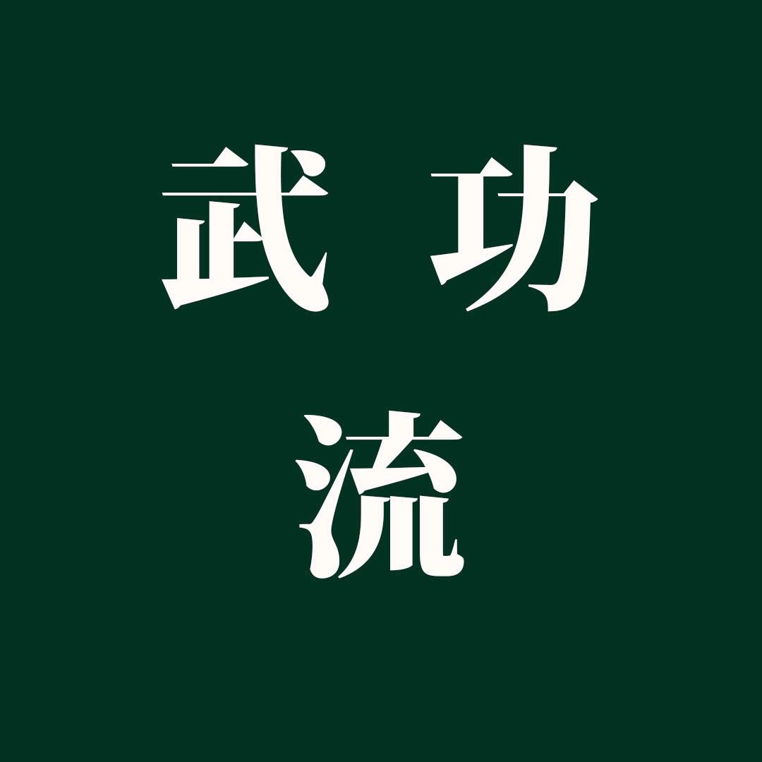 武功流