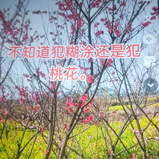 你不要拉黑我，让大家认识你