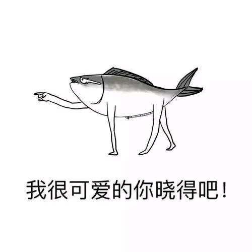 鸿