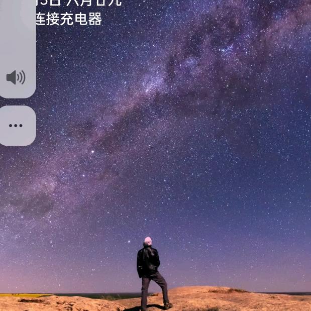 杨芳莉