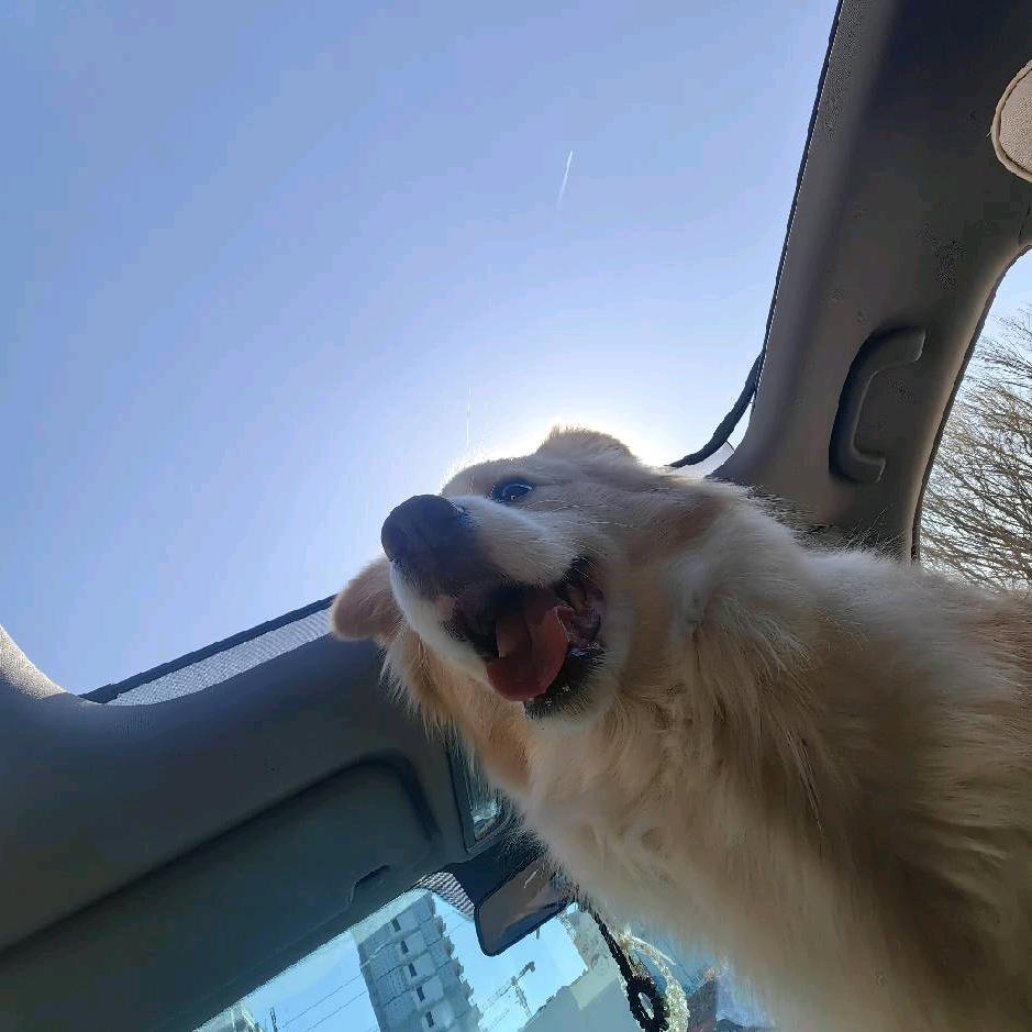 哈比宠物生活馆