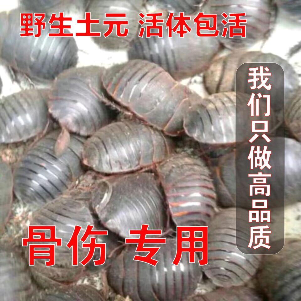 2203351677