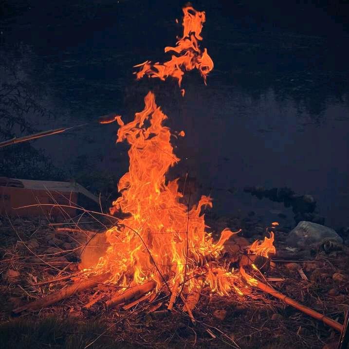 陈哥直播间