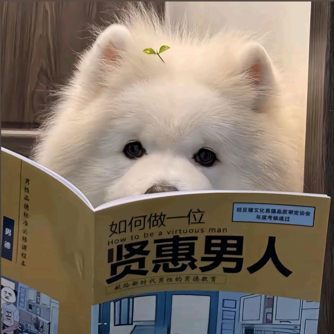 .湫.