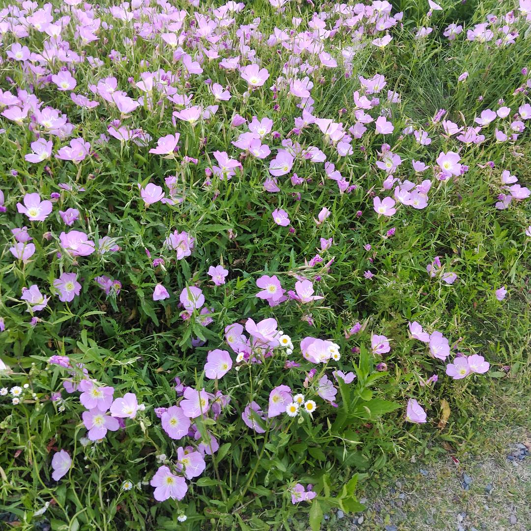 身体健康最重要