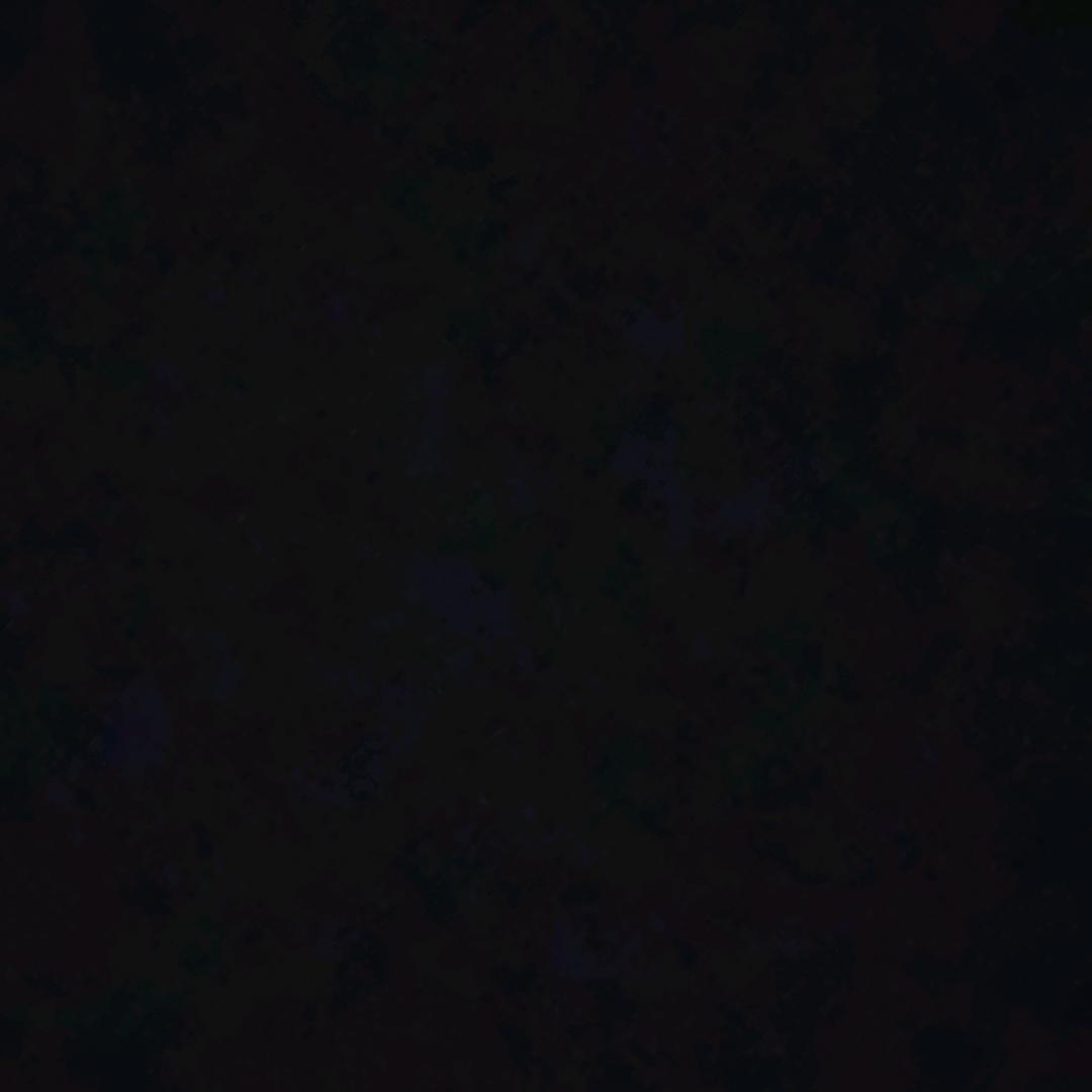 人质