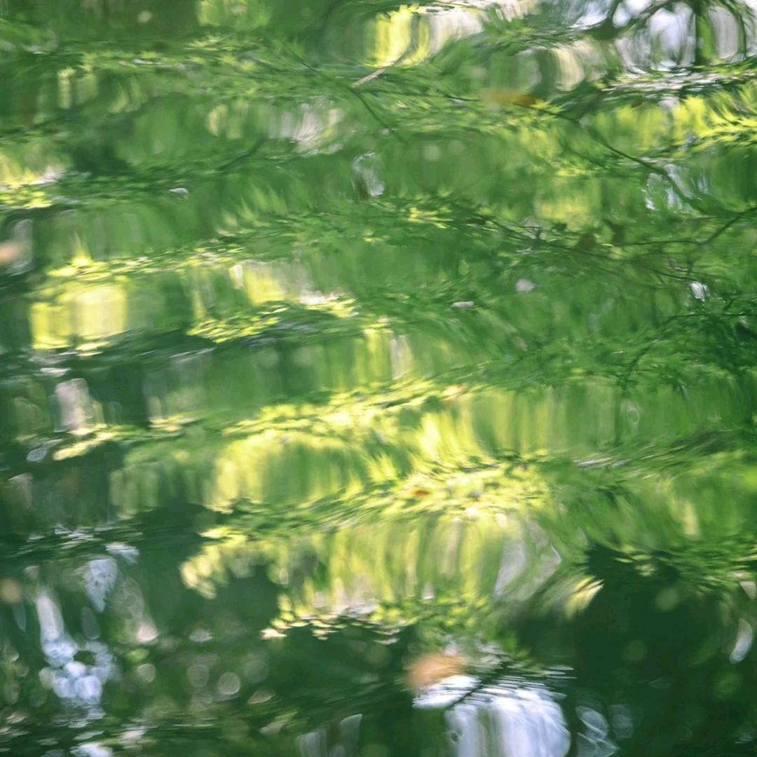 小庸读书