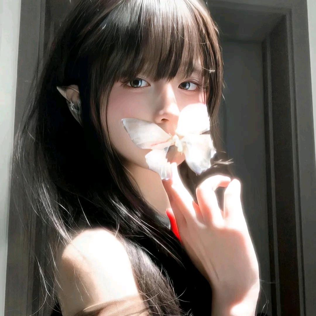 绿绿爱吃蛋挞
