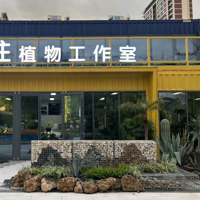 植物ang张