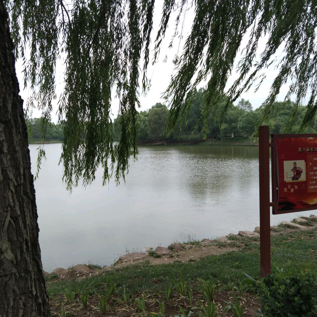 我爱笑可心好酸