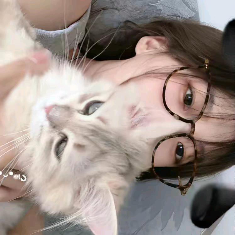 痴情契约林掌舵头像