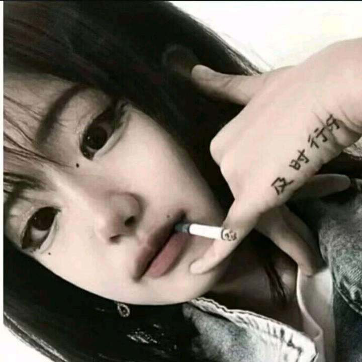 拾柒🐑