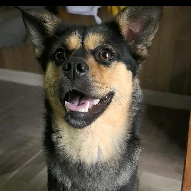 那我还能说啥呢