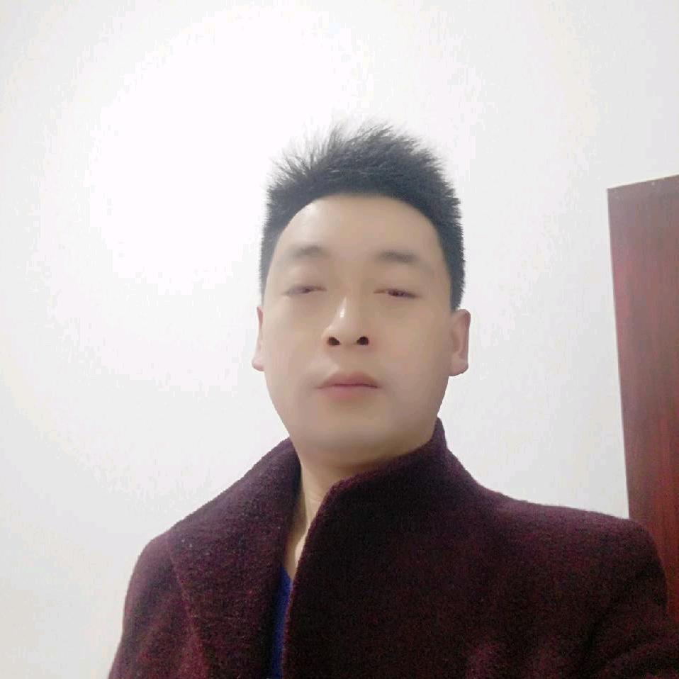 我在夜里听着风