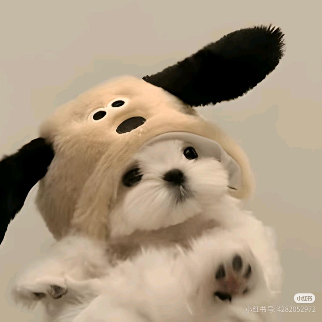 少一点心柿