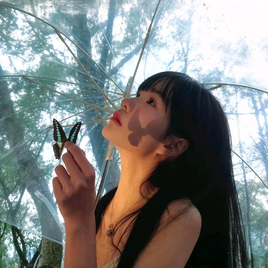 一只呆鱼🐟