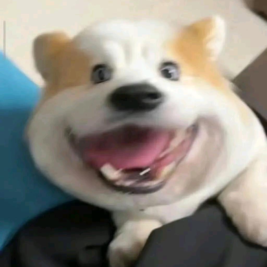 马上马上