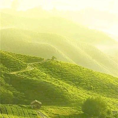 dawang