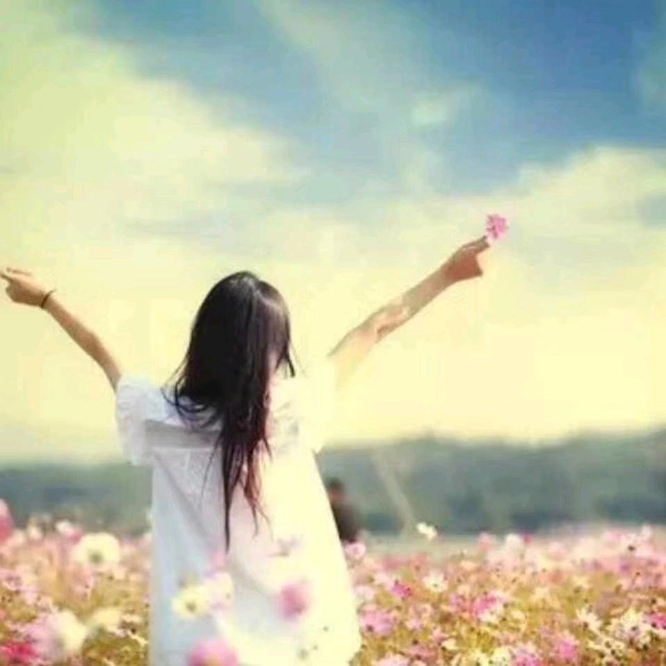 河南（丽🌹姐）