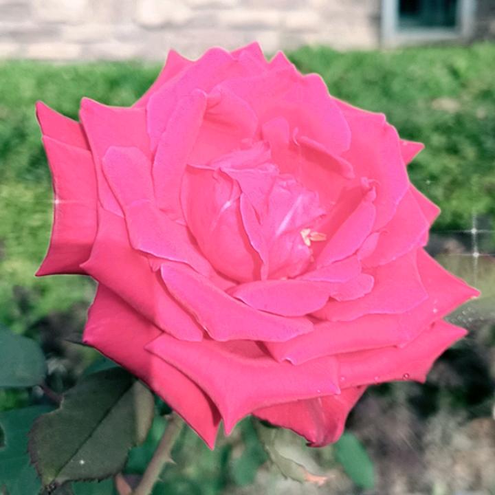 喜欢伤感歌曲的人