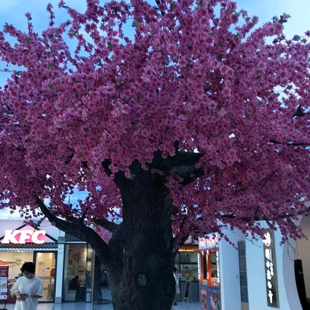 做一个善良的人