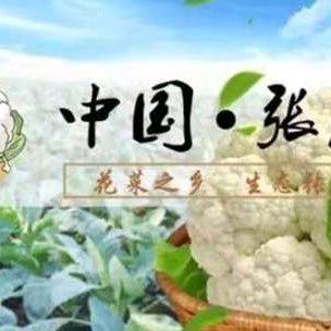 天门市蔬菜基地