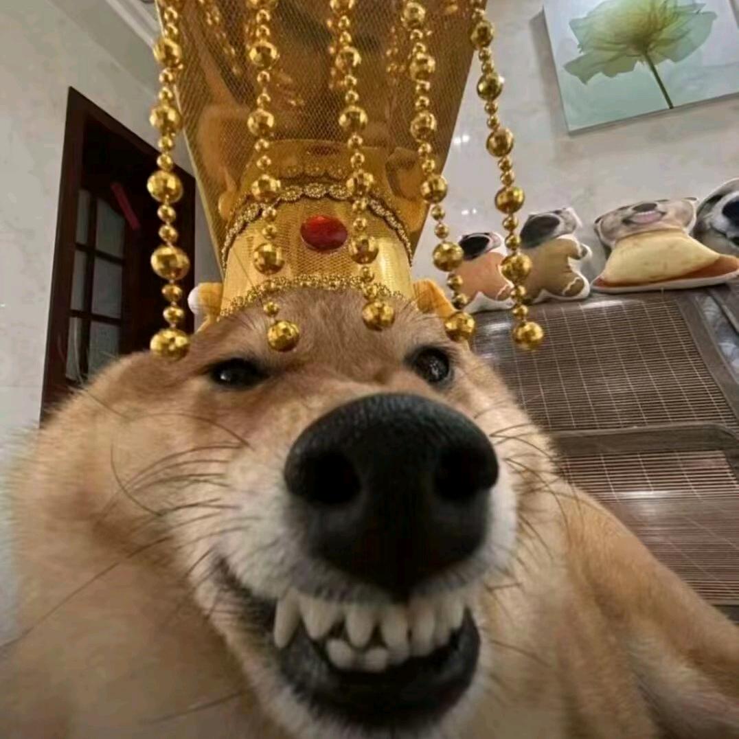 5瓦-啊啊