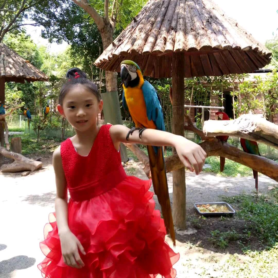 卖草莓的李友春