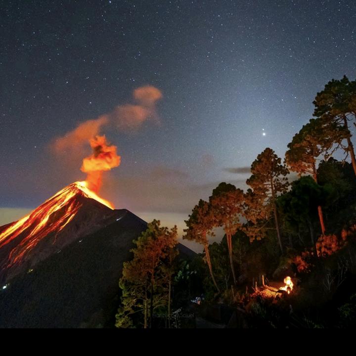 莫使金樽空对月
