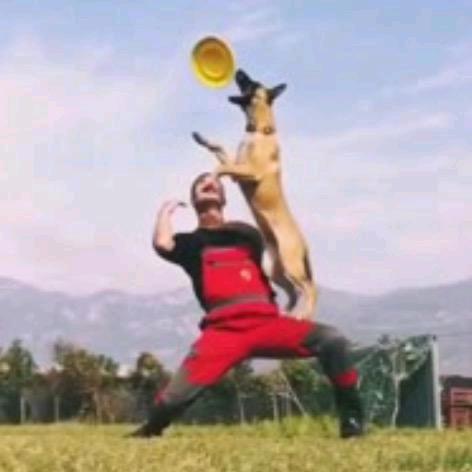 毛哥训犬俱乐部629