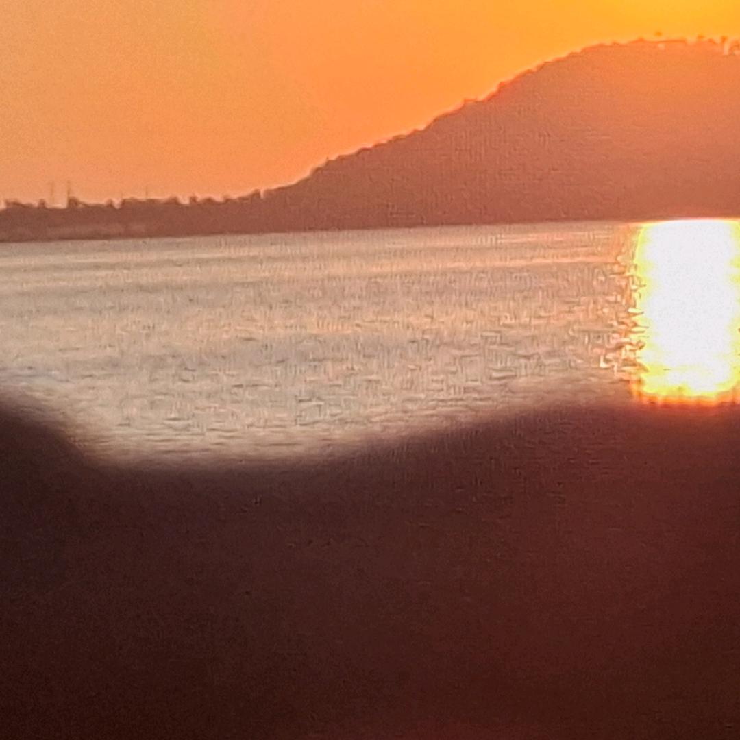 သင်သည်ငါ့ကိုကြိုက်ပါ