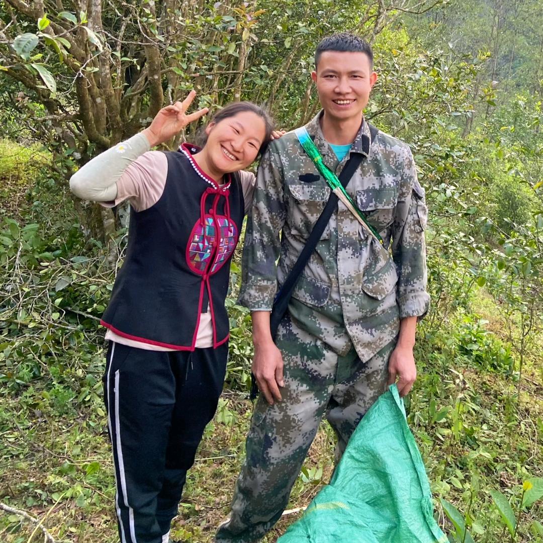 杨子葵