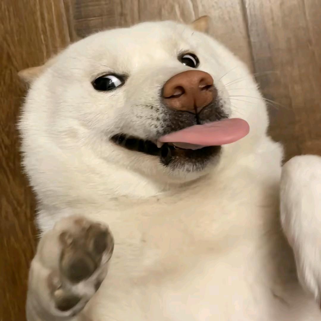 我是唐不是傻