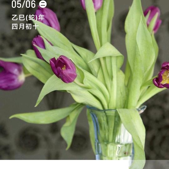 春去春回来