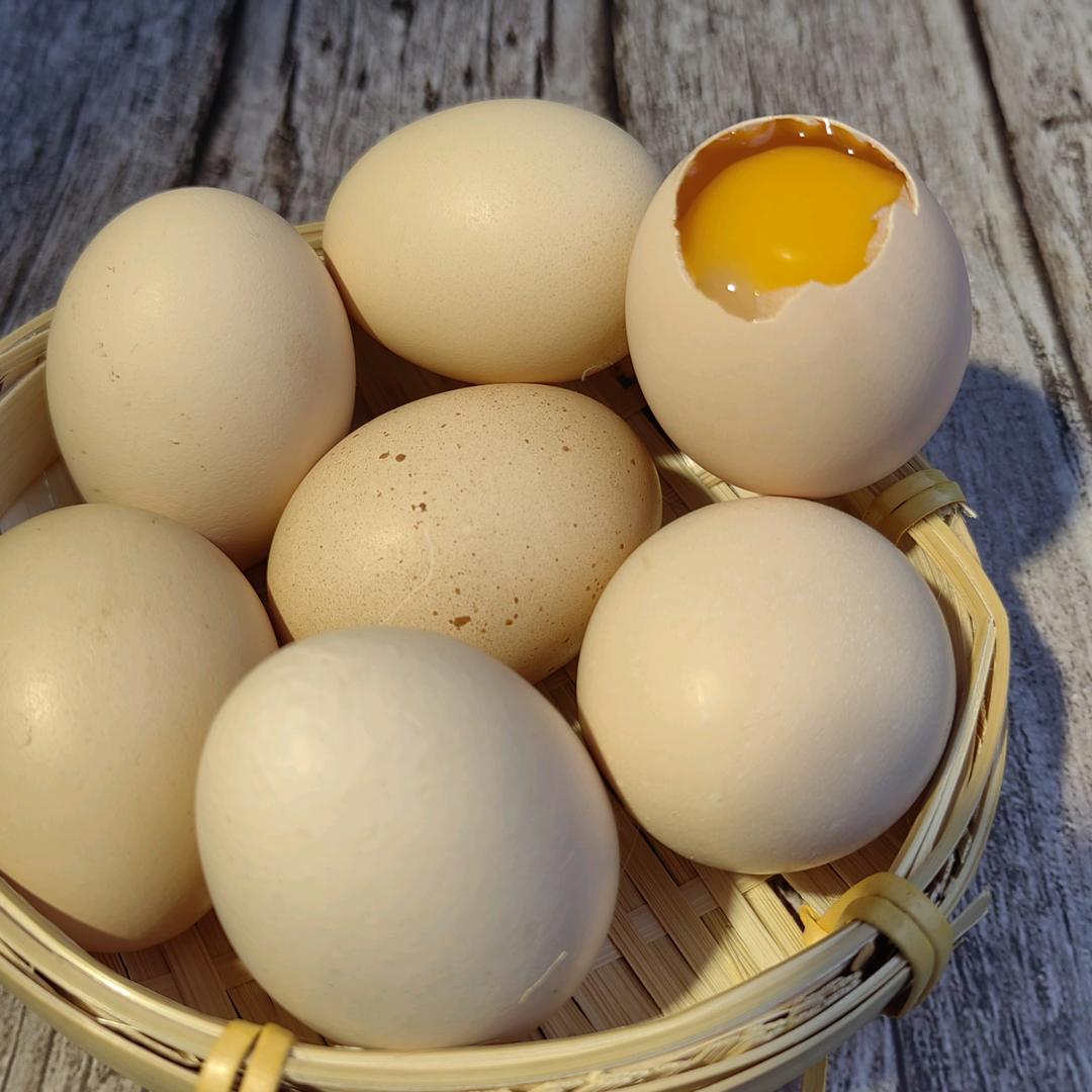 豆豆农坊