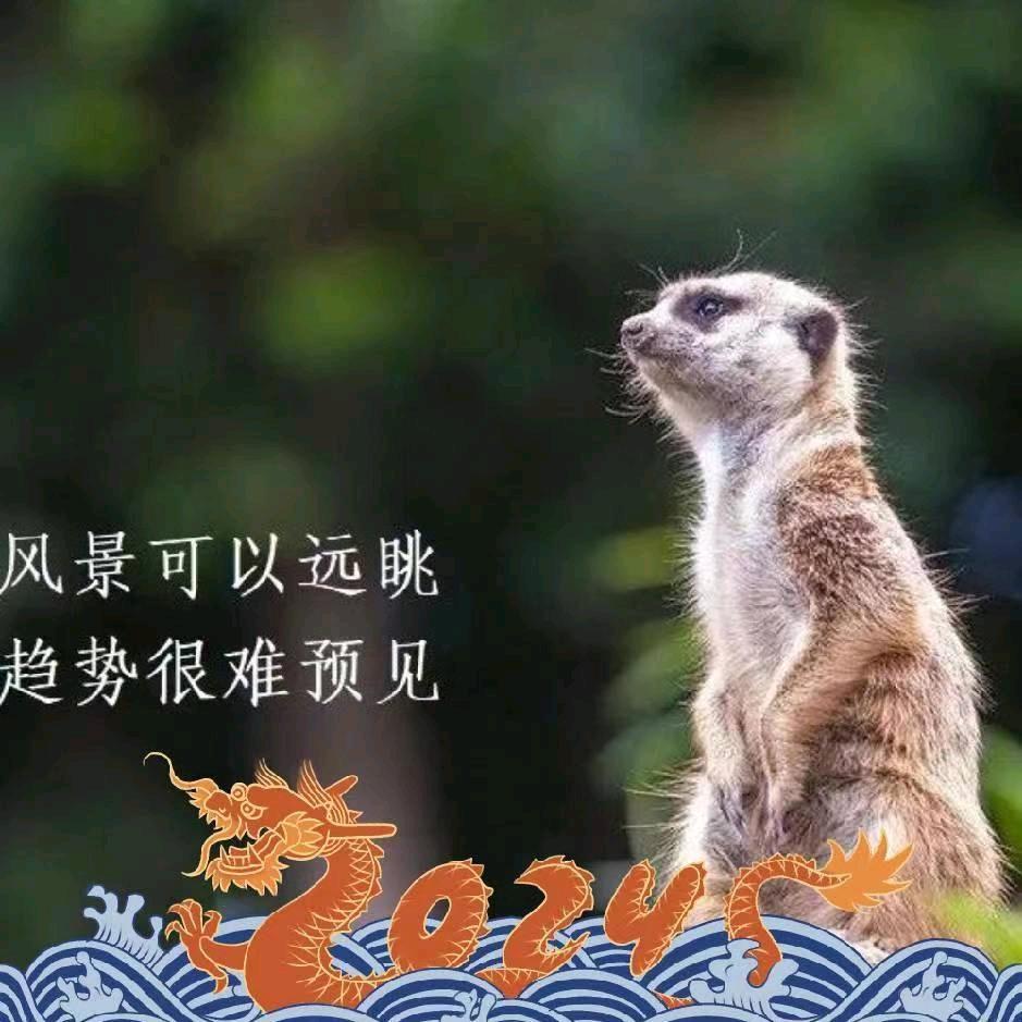 志远🙈