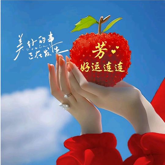 芳。。。